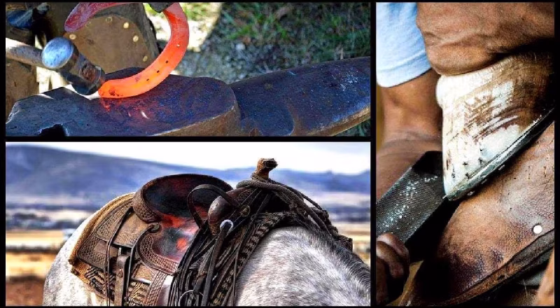 Hufeisen Pferd Sattel Schmied Beschlag 25