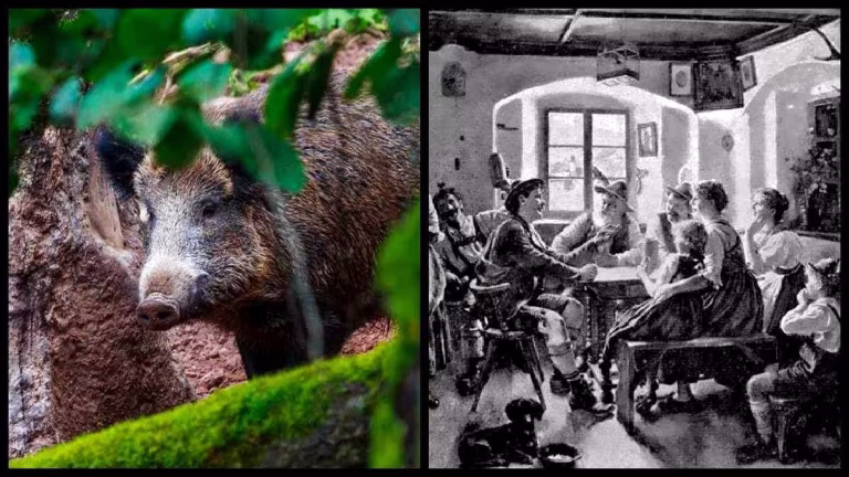 Wildschwein, das in einem Waldgebiet zwischen Bäumen und Moos steht.